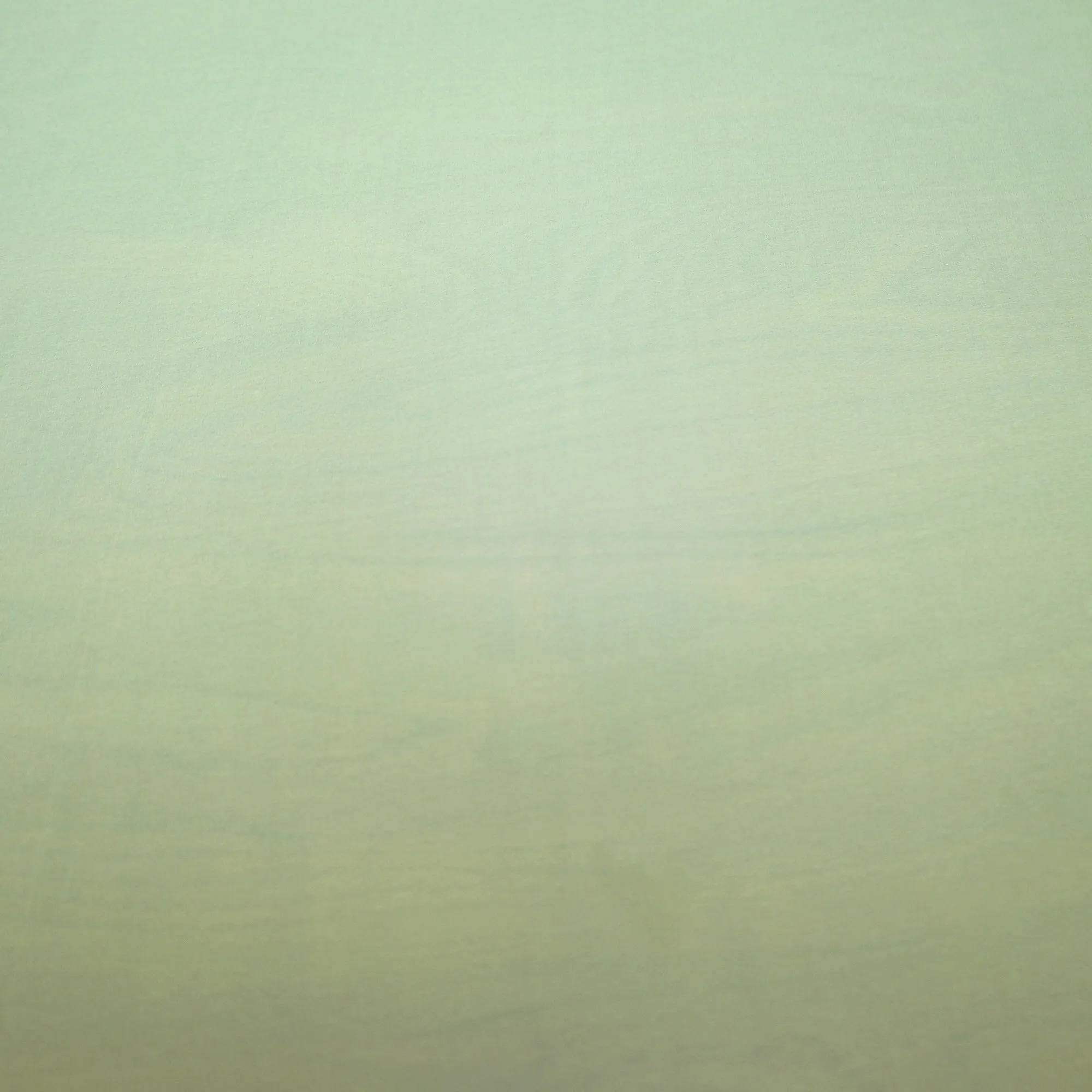 Canary/Canari Vanessa Chiffon/ Chiffon Vanessa