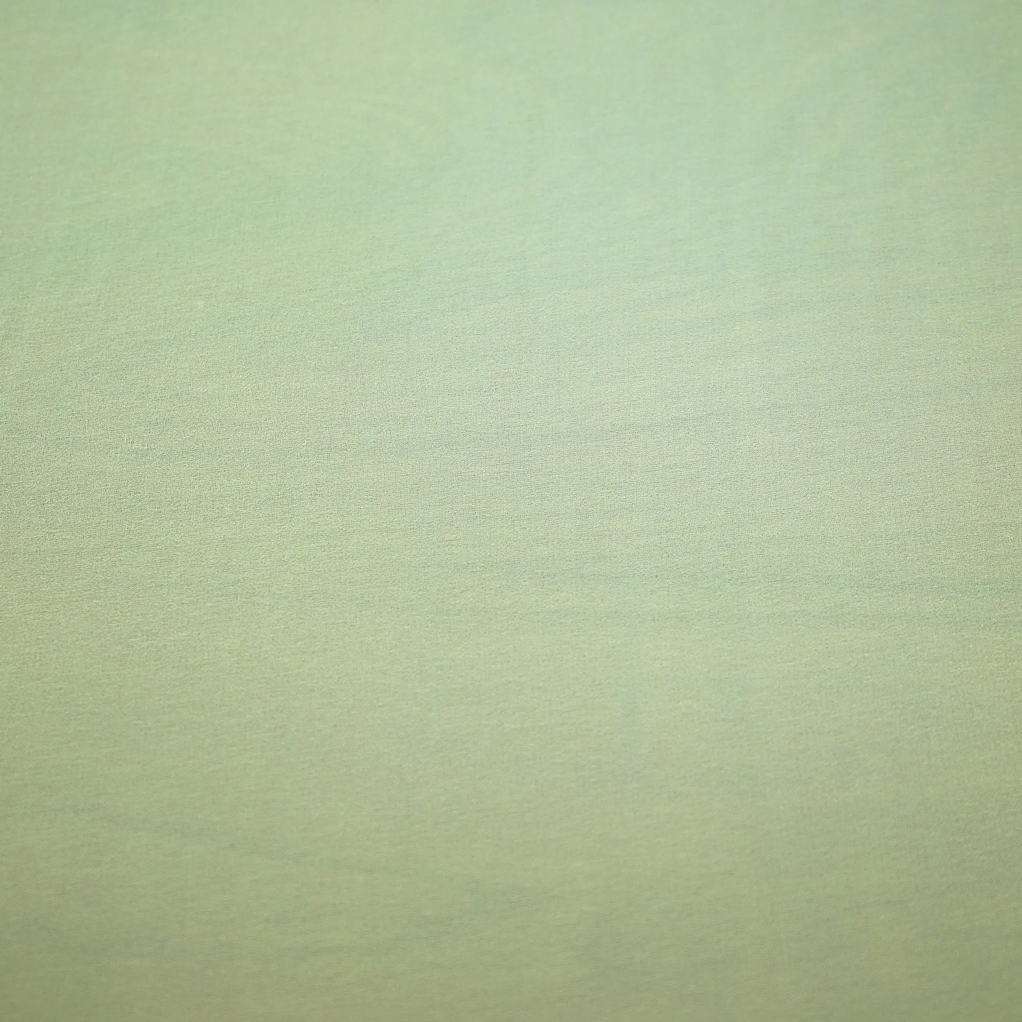 Canary/Canari Vanessa Chiffon/ Chiffon Vanessa